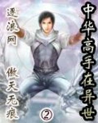 中華高手在異世2 小說封面