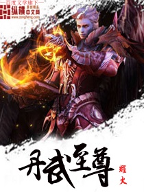 丹武至尊小说封面
